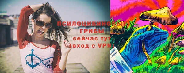 ГАЛЛЮЦИНОГЕННЫЕ ГРИБЫ Михайлов