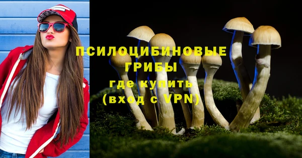 спиды Михайловка
