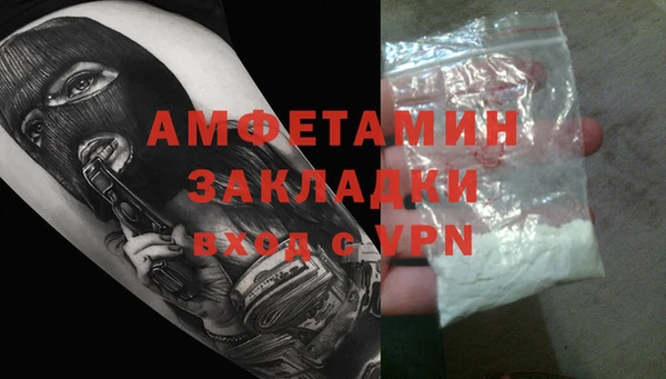 ГАЛЛЮЦИНОГЕННЫЕ ГРИБЫ Михайлов
