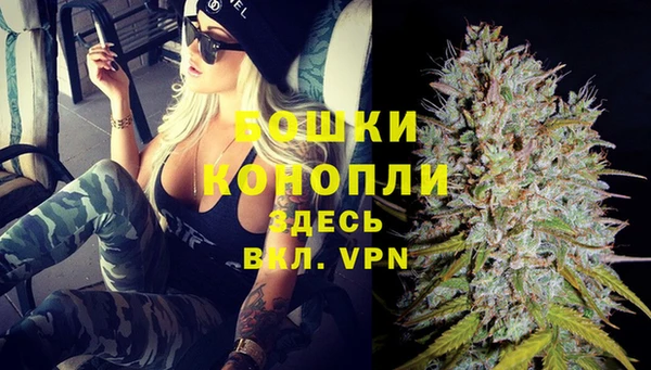 ГАЛЛЮЦИНОГЕННЫЕ ГРИБЫ Михайлов